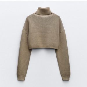Zara turtleneck, cropped knit sweater
